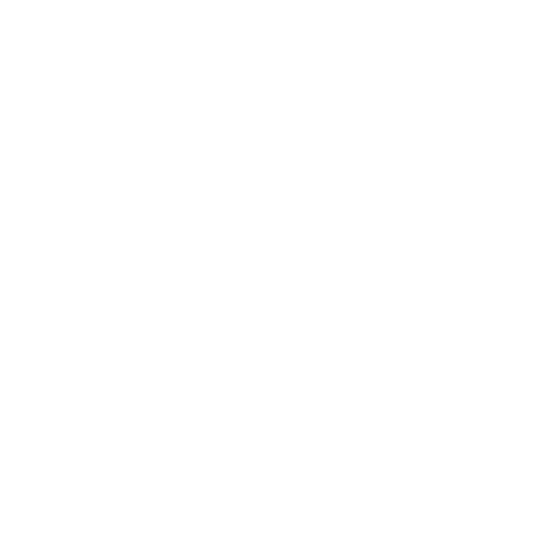 security Solutions Implementation icon