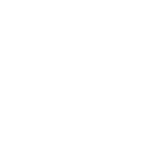 Cybersecurity Testing and Assurance icon