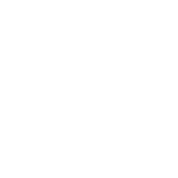 Mobile Application Penetration Testing