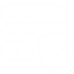 Network Penetration Testing